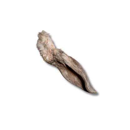 orejitas | rabbit ears