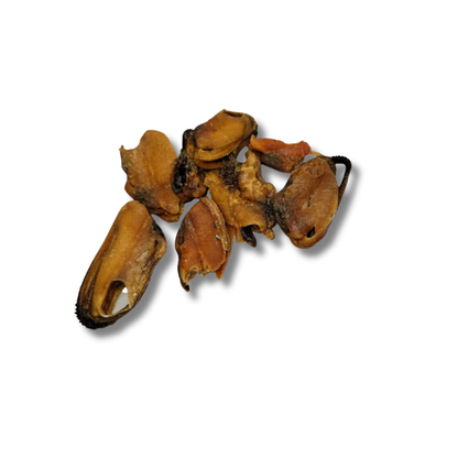 mariscos | green lipped mussel