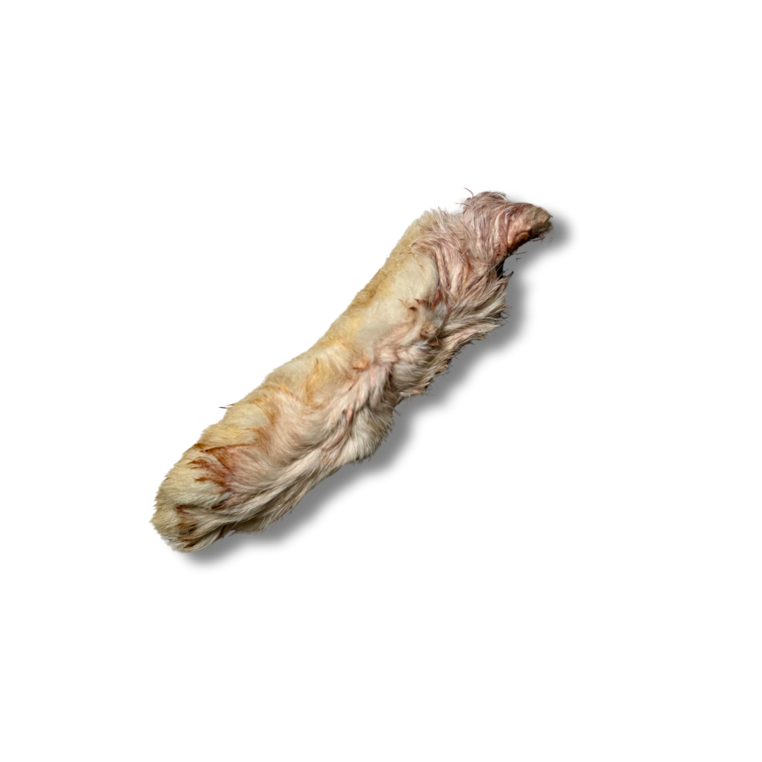 patitas | rabbit feet