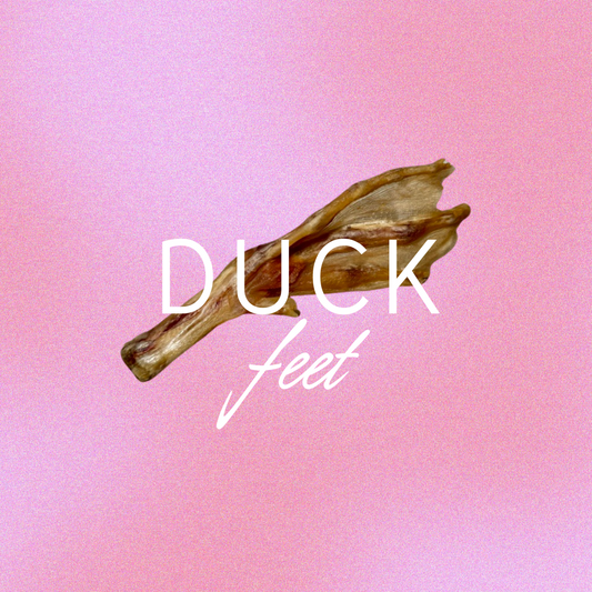 patitas | duck feet