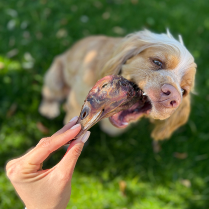 cabezitas | duck heads