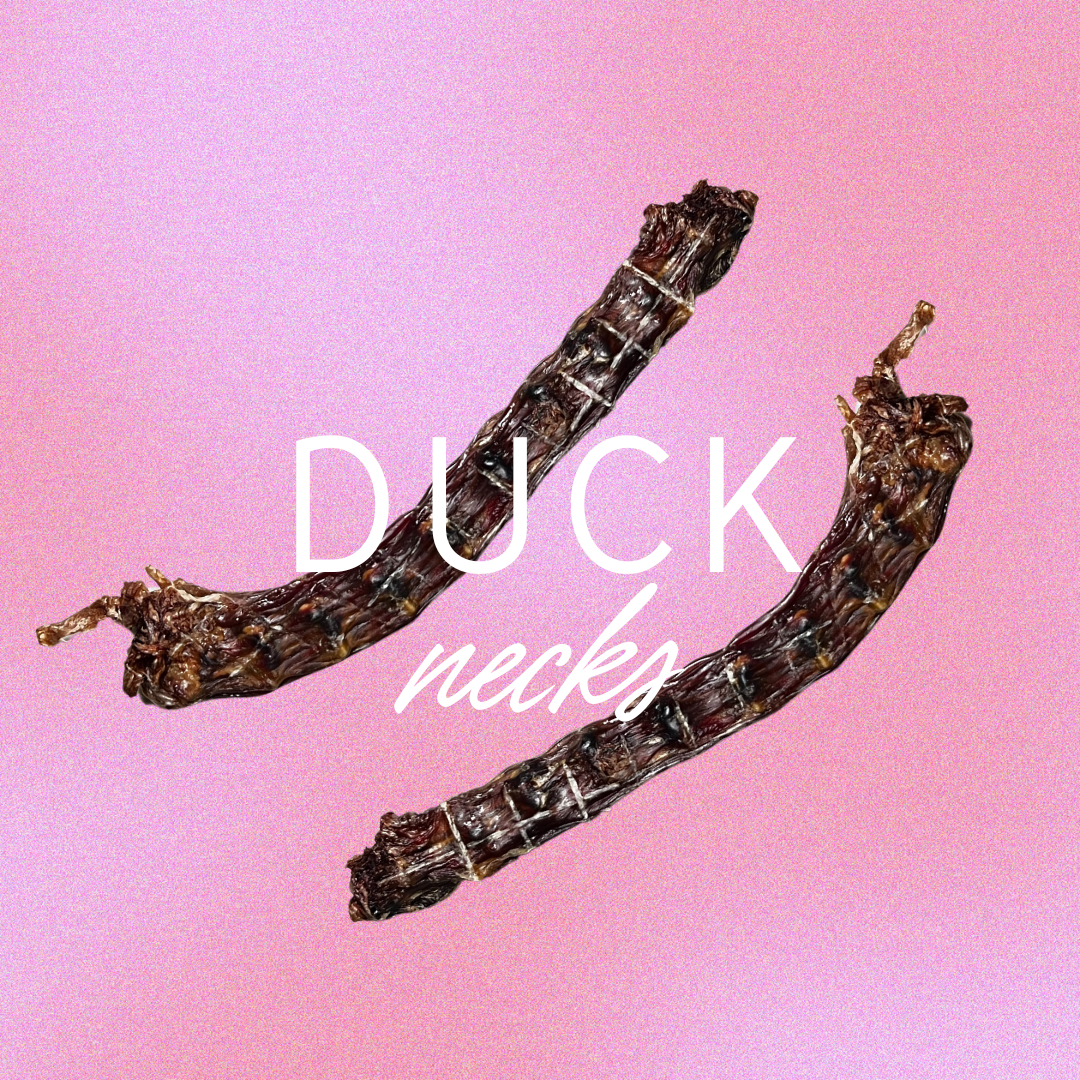 cuellitos | duck necks