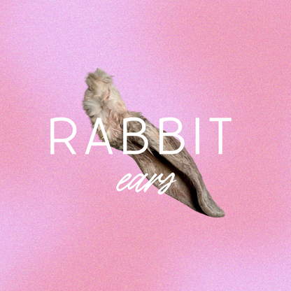 orejitas | rabbit ears